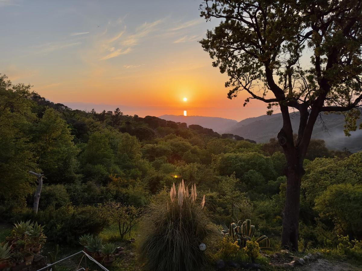 Cefalu Forest Hideout Exterior photo