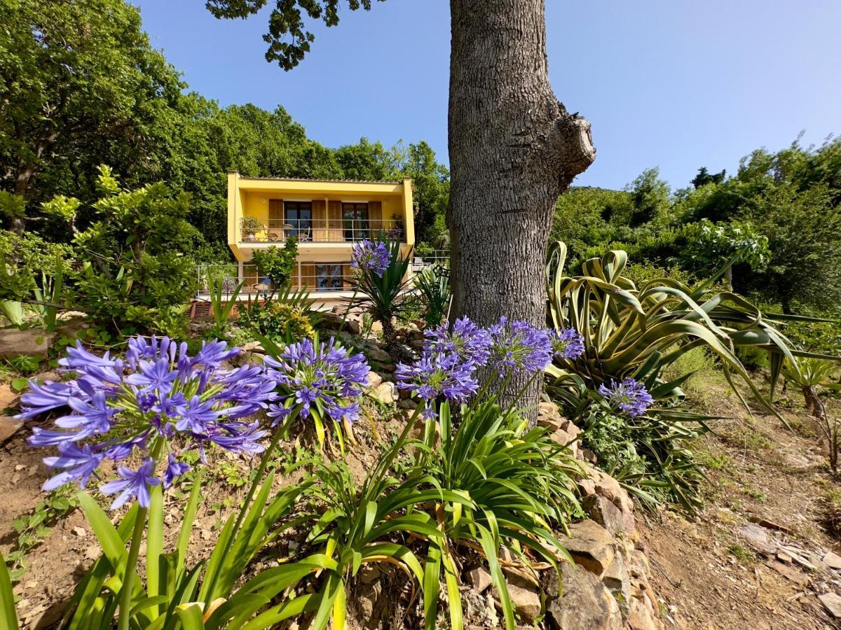 Cefalu Forest Hideout Exterior photo